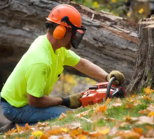 tree services Croton-on-Hudson